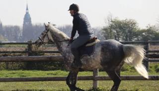 Faire de l’équitation à Saint-Lô