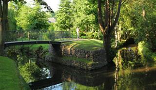 Une promenade au jardin botanique