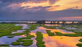 La réserve Naturelle Nationale du Marais d’Orx