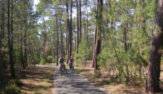 Balade à vélo à Seignosse