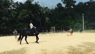 Un tour de manège… à cheval