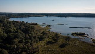 Le lac de Biscarrosse 