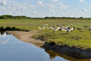 Le Parc Naturel Régional de Brière