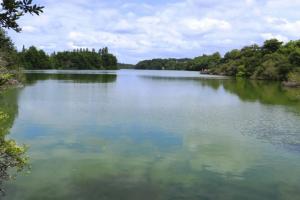 La réserve Naturelle de l'Étang Noir