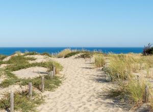 Explorer la Gironde